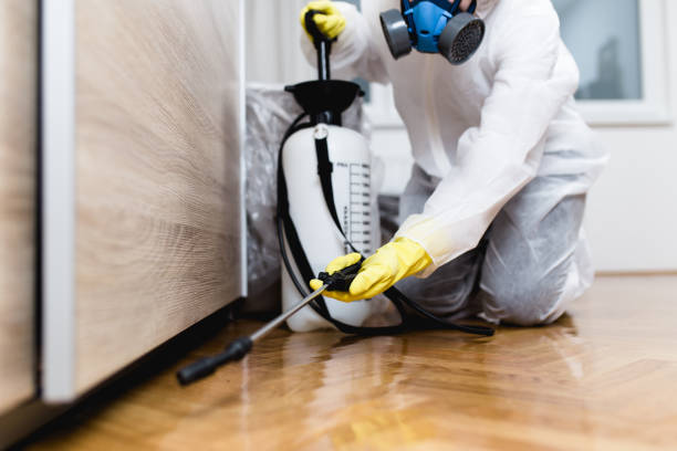 Best Residential Pest Control  in Weatherly, PA