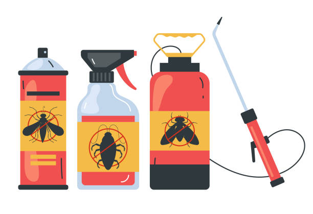 Best Termite Control Services  in Weatherly, PA