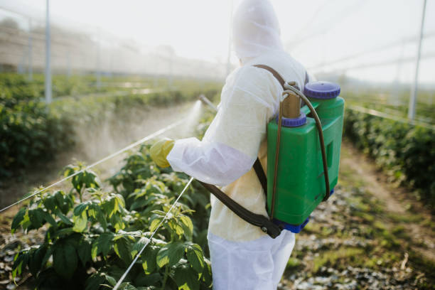 Best Bed Bug Extermination  in Weatherly, PA